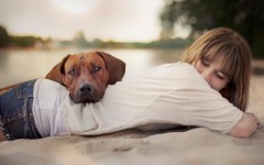 Desktop wallpaper. Dogs. ID:88475