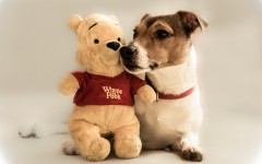 Desktop image. Dogs. ID:89370
