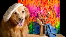 Desktop wallpaper. Dogs. ID:103144