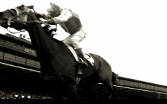 Desktop wallpaper. Seabiscuit. ID:4854