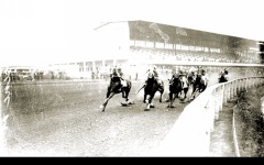 Desktop wallpaper. Seabiscuit. ID:4856