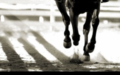 Desktop wallpaper. Seabiscuit. ID:4857