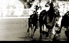 Desktop wallpaper. Seabiscuit. ID:4858