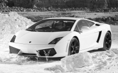 Desktop image. Lamborghini. ID:26121
