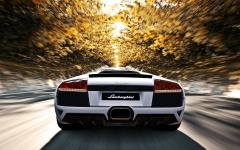 Desktop wallpaper. Lamborghini. ID:74833