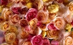 Desktop wallpaper. Flowers. ID:4557