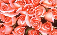 Desktop wallpaper. Flowers. ID:4573