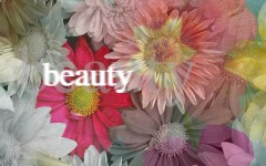 Desktop wallpaper. Flowers. ID:4622