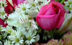 Desktop wallpaper. Flowers. ID:4685
