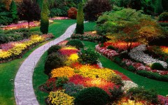 Desktop wallpaper. Flowers. ID:4729