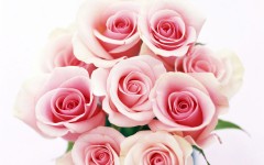 Desktop wallpaper. Flowers. ID:4730