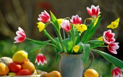 Desktop wallpaper. Flowers. ID:4732