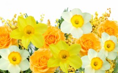 Desktop wallpaper. Flowers. ID:50589