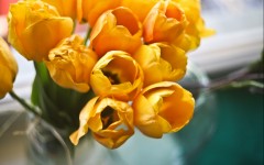Desktop wallpaper. Flowers. ID:51276