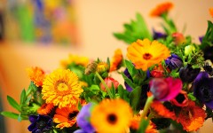 Desktop wallpaper. Flowers. ID:52769
