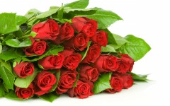 Desktop wallpaper. Flowers. ID:52896