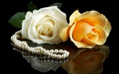 Desktop wallpaper. Flowers. ID:55813