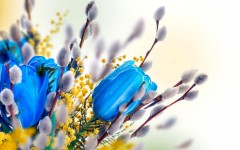 Desktop wallpaper. Flowers. ID:55820