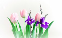 Desktop wallpaper. Flowers. ID:56228