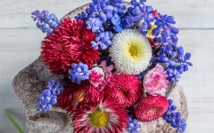 Desktop wallpaper. Flowers. ID:62144