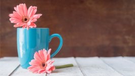 Desktop wallpaper. Flowers. ID:149646