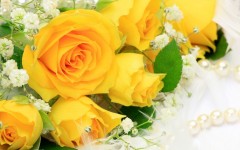 Desktop wallpaper. Flowers. ID:62207