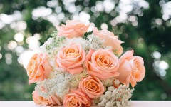 Desktop wallpaper. Flowers. ID:62467