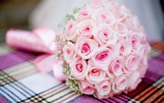 Desktop wallpaper. Flowers. ID:62978