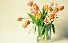Desktop wallpaper. Flowers. ID:63390