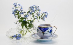 Desktop wallpaper. Flowers. ID:68428