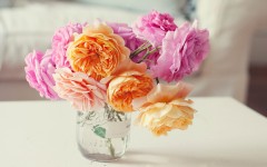 Desktop wallpaper. Flowers. ID:68526