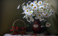 Desktop wallpaper. Flowers. ID:68547