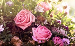 Desktop wallpaper. Flowers. ID:68571