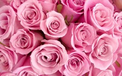 Desktop wallpaper. Flowers. ID:68573