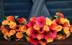 Desktop wallpaper. Flowers. ID:68596