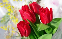 Desktop wallpaper. Flowers. ID:68613