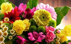 Desktop wallpaper. Flowers. ID:68625