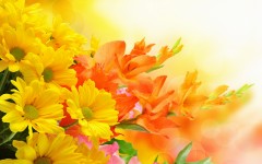 Desktop wallpaper. Flowers. ID:80309