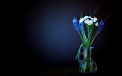 Desktop wallpaper. Flowers. ID:80339