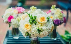Desktop wallpaper. Flowers. ID:80385
