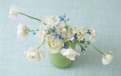 Desktop wallpaper. Flowers. ID:82548