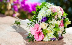 Desktop image. Flowers. ID:84542