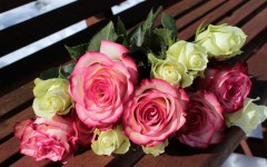 Desktop wallpaper. Flowers. ID:84571