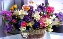 Desktop wallpaper. Flowers. ID:86208