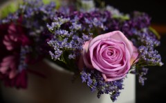 Desktop wallpaper. Flowers. ID:86471