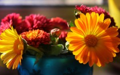 Desktop wallpaper. Flowers. ID:86633