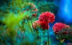 Desktop wallpaper. Flowers. ID:88969