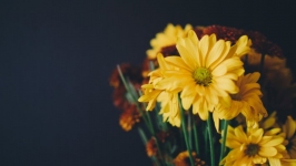 Desktop wallpaper. Flowers. ID:89678