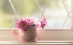 Desktop wallpaper. Flowers. ID:90099