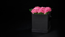 Desktop wallpaper. Flowers. ID:90695